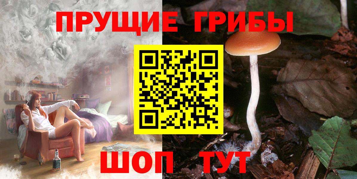 Псилоцибиновые грибы мицелий  Вход с VPN  Алушта 